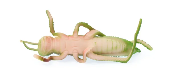흰색 배경에 분리 된 그라스 호퍼 플라스틱 장난감 — 스톡 사진