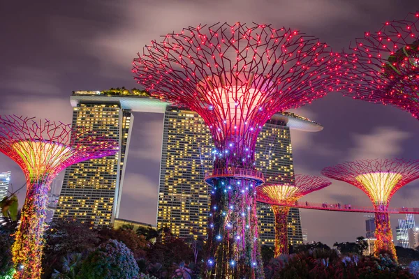 SINGAPUR - 18 DE FEBRERO DE 2017: Superárbol jardín por la noche, jardín —  Fotos de Stock