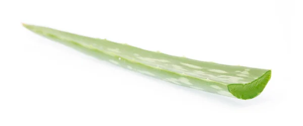 Aloe vera tranchée isolée sur fond blanc — Photo