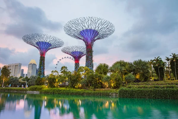 Singapur. 18 de febrero de 2017: Jardines junto a la bahía con Super árbol —  Fotos de Stock