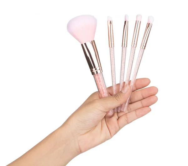 Hand holding Set of Pink professional makeup blush isolated on w — Stockfoto