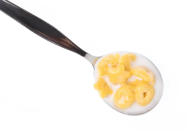 Cereal with milk on spoon isolated on white background. — Stok fotoğraf