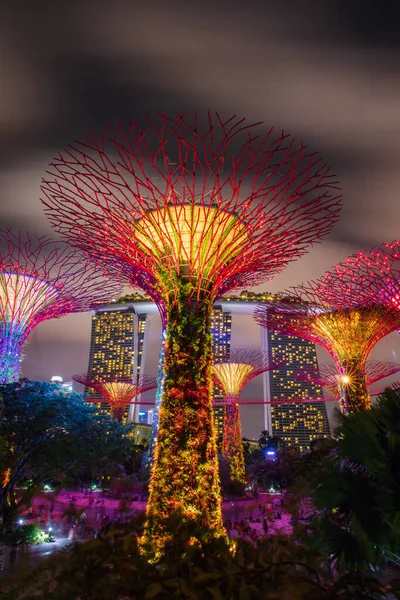 SINGAPUR - 18 DE FEBRERO DE 2017: Superárbol jardín por la noche, jardín —  Fotos de Stock