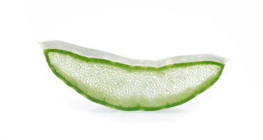 Beyaz arka plan üzerinde izole dilimlenmiş aloe vera