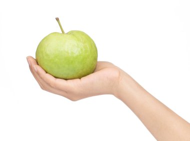 Beyaz arkaplanda el ele tutuşan guava