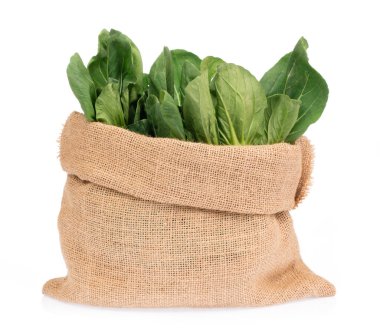 Beyaz arka planda izole edilmiş bir çuval Çin lahanası.