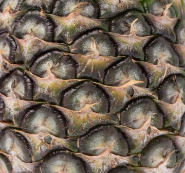 Beautiful texture or background skin of pineapple