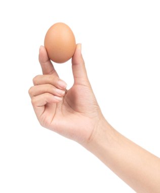 hand holding chicken eggs isolated on white background