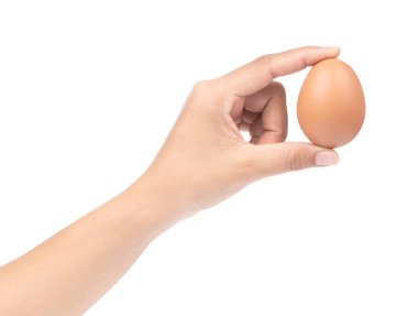 hand holding chicken eggs isolated on white background