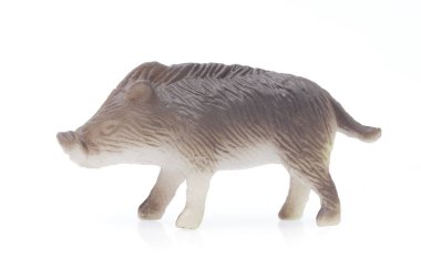 Beyaz arka planda izole edilmiş oyuncak yaban domuzunu kapat