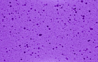 Purple sponge texture background