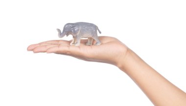  hand holding toy elephant isolated on white background