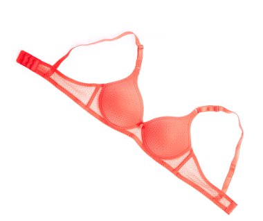 Beautiful bra isolated on white background