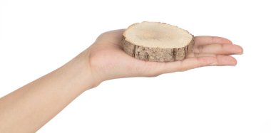 hand holding circular piece of wood section texture isolated on 