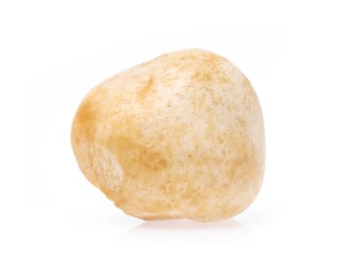 Beyaz Arkaplanda İzole edilmiş Mantar