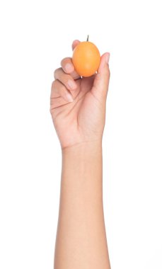 hand holding Sweet Marian plum fruit isolated on white backgroun