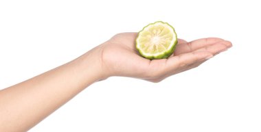 hand holding Bergamot fruit isolated on white background