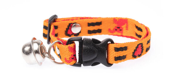 orange collar isolated over white background
