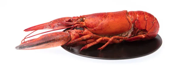 Lobster ,Boiled crayfish on dish isolated on white background — Stockfoto