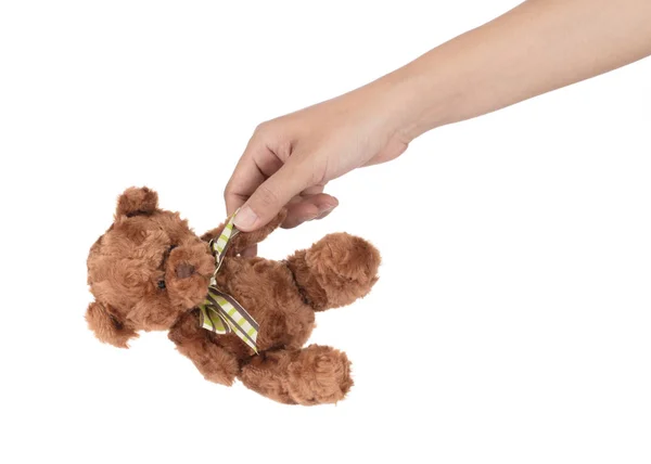 Hand houden teddy beer pop geïsoleerd op witte achtergrond. — Stockfoto
