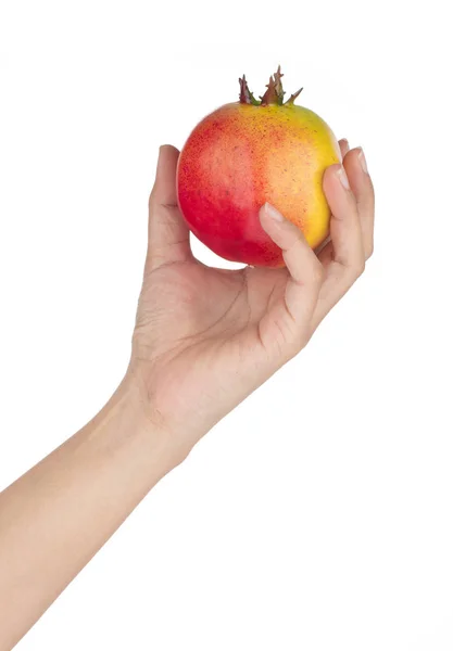 Hand, die Rubin zur Dekoration künstlichen Obstschmuck arti — Stockfoto