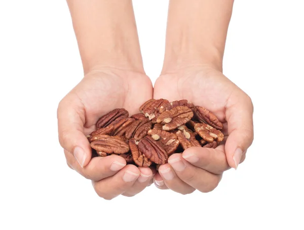 Hand holding Pecan nuts isolated on white background — Stockfoto