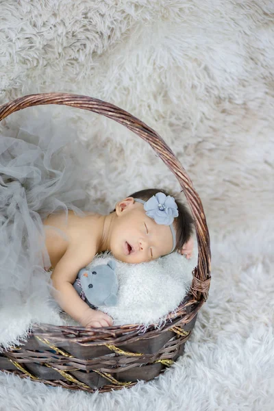 Pequeno bebê dormindo abraçando um urso na cesta — Fotografia de Stock