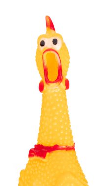 oyuncak lastik çığlık sarı tavuk beyaz arka planda izole