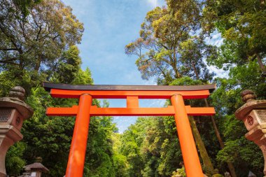 red Torii in Nara Japan