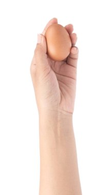 hand holding chicken eggs isolated on white background