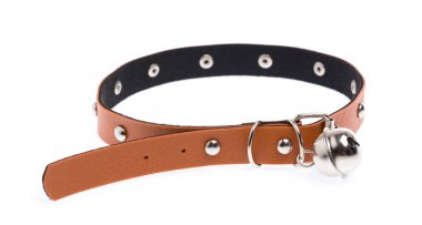 Beyaz bir arka plan üzerinde izole köpek yaka