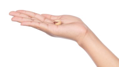 Antep fıstığı. Beyaz bir arka plan üzerinde izole