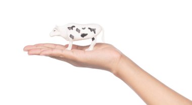 Beyaz sırt deliğinde izole edilmiş çocuklar için el ele tutuşan inek plastik oyuncağı.