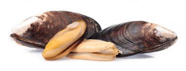 Beyaz arka planda izole edilmiş pişirilmiş midyeler