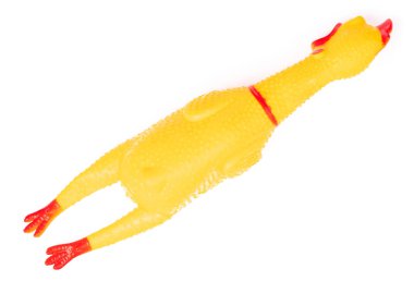 oyuncak lastik çığlık sarı tavuk beyaz arka planda izole