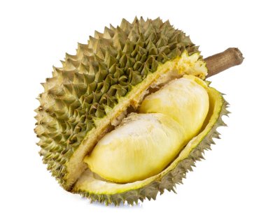 Durian dilimi beyaz arkaplanda izole edildi