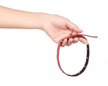 Beyaz bir arka planda el ele tutuşan köpek tasması.