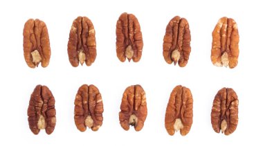 Beyaz arka planda izole edilmiş fındık