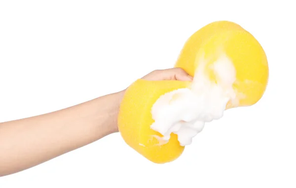 Trzymając za rękę Gąbka z piankowym sudem mydlanym izolowanym na białym tle — Zdjęcie stockowe