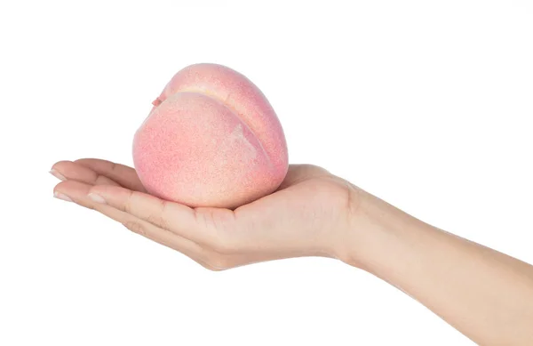 Hand holding Artificial Pink Peach Model isolated on white backg — 스톡 사진