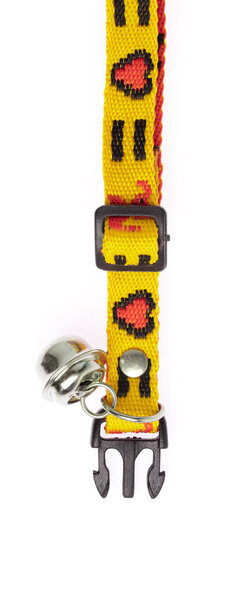 yellow collar isolated over white background