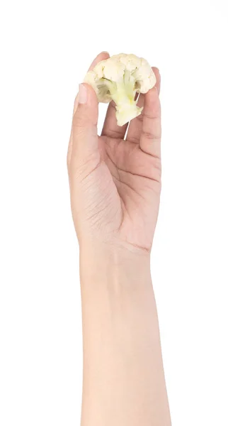 Mão segurando fresco de couve-flor isolado no fundo branco — Fotografia de Stock