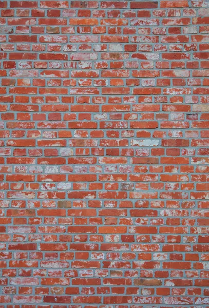 Background of brick wall texture — Stock Photo, Image