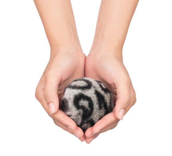 Hand houden Pom pom Fur bal geïsoleerd op witte achtergrond — Stockfoto