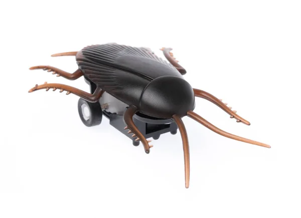 Toy Cockroaches Isolated White Background — Stockfoto