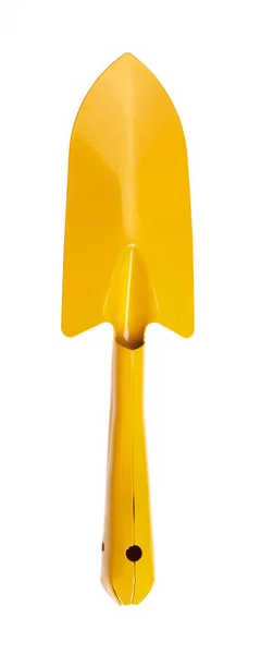 白い背景に隔離された黄色のトロイル — ストック写真