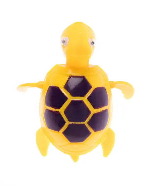 Műanyag Toy teknős elszigetelt fehér alapon — Stock Fotó