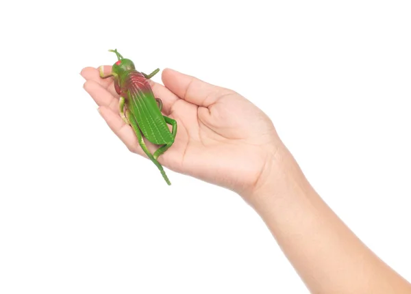 Hand holding grasshopper plastic play toy isolated on white back — ストック写真