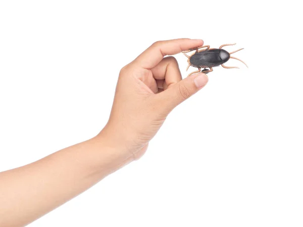 Tangan memegang Toy Cockroaches terisolasi pada latar belakang putih — Stok Foto