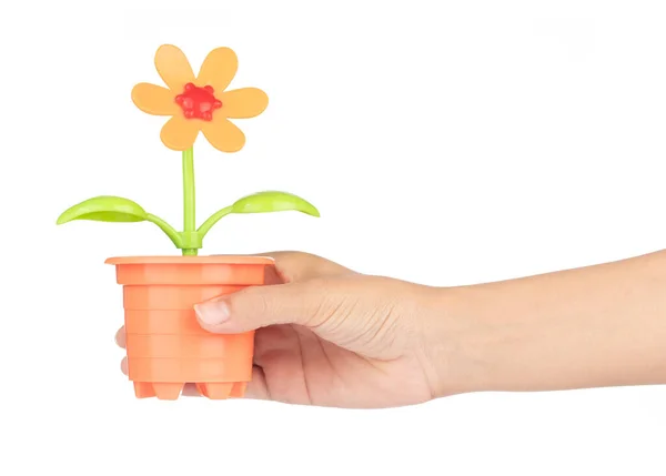 Hand holding Beautiful plastic flowers in pot isolated on a whit — 스톡 사진